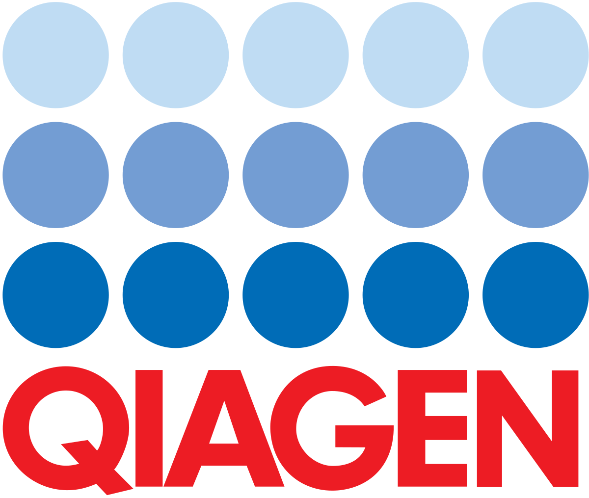 Qiagen Logo